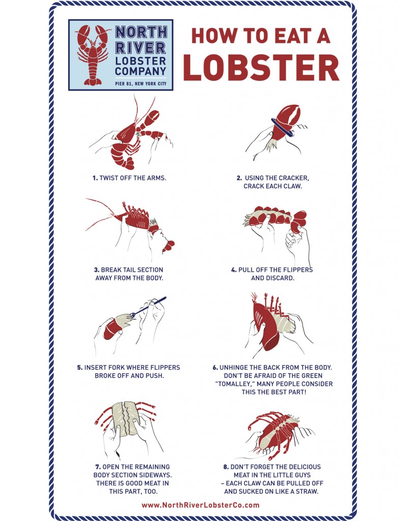 NRLC_How-to-Eat-a-Lobster-Guide-Line--Final