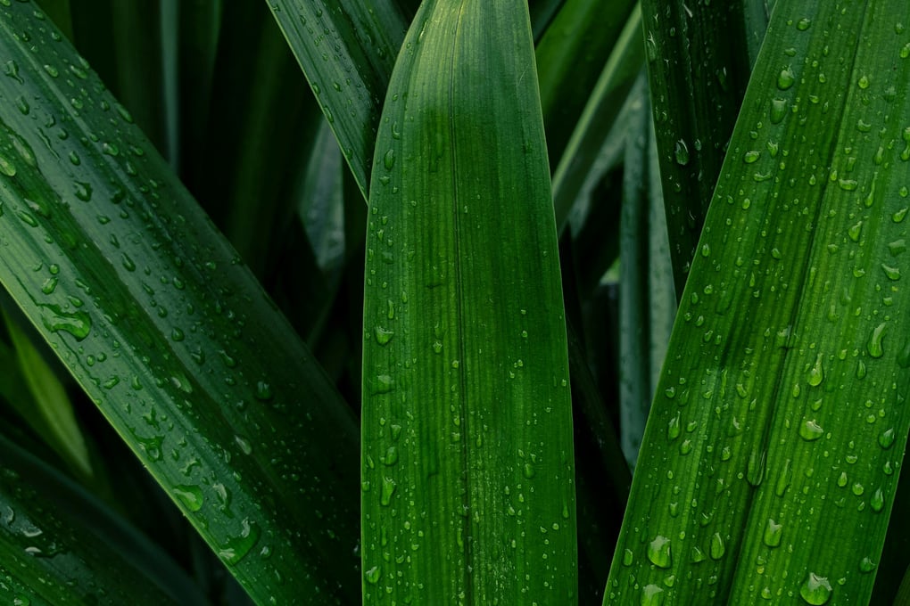 pexels photo 5857658