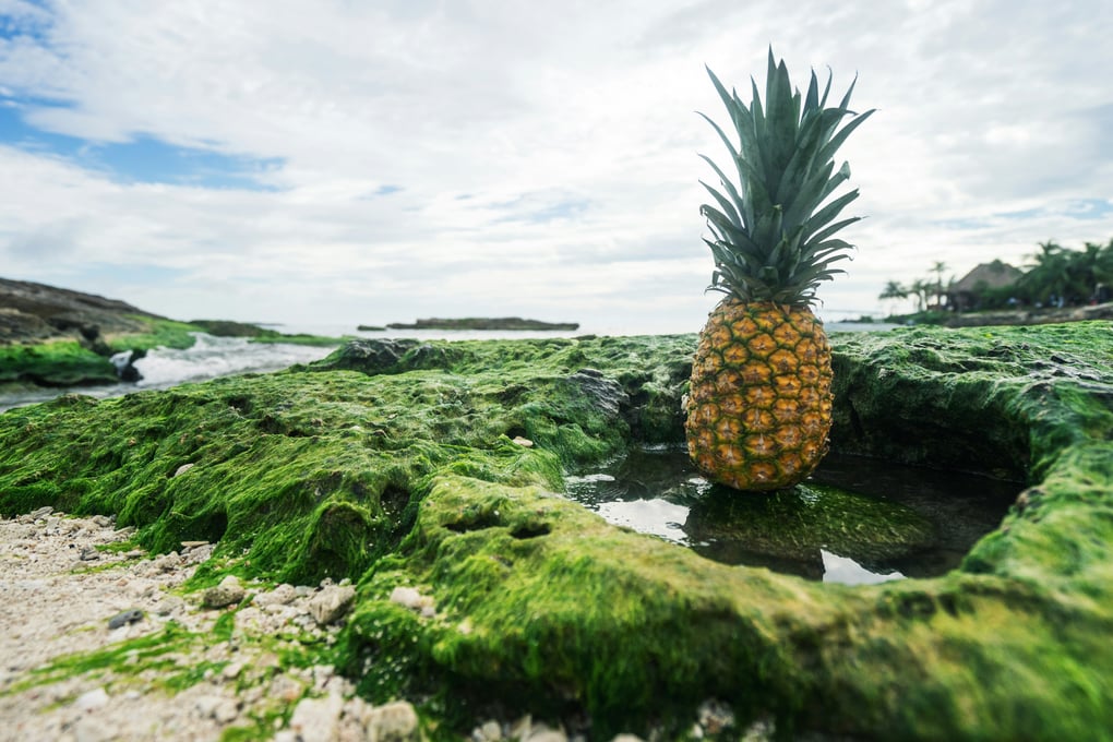 photo 1456433023484 18b4bb9970e2?ixlib=rb 1.2