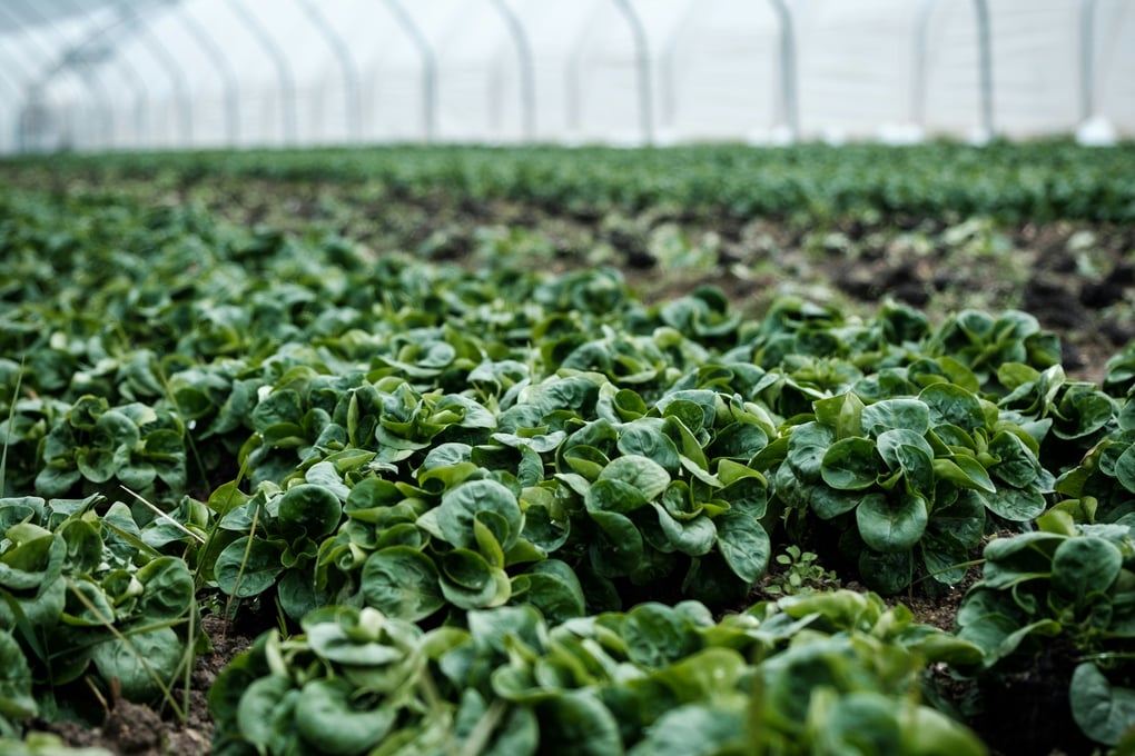 photo 1518994603110 1912b3272afd?blend=000000&blend alpha=10&blend mode=normal&blend w=1&crop=faces%2Cedges&h=630&mark=https%3A%2F%2Fimages.unsplash.com%2Fopengraph%2Flogo.png&mark align=top%2Cleft&mark pad=50&mark w=64&w=1200&auto=format&fit=crop&q=60&ixid=M3wxMjA3fDB8MXxhbGx8fHx8fHx8fHwxNzAyMDk3NTQwfA&ixlib=rb 4.0