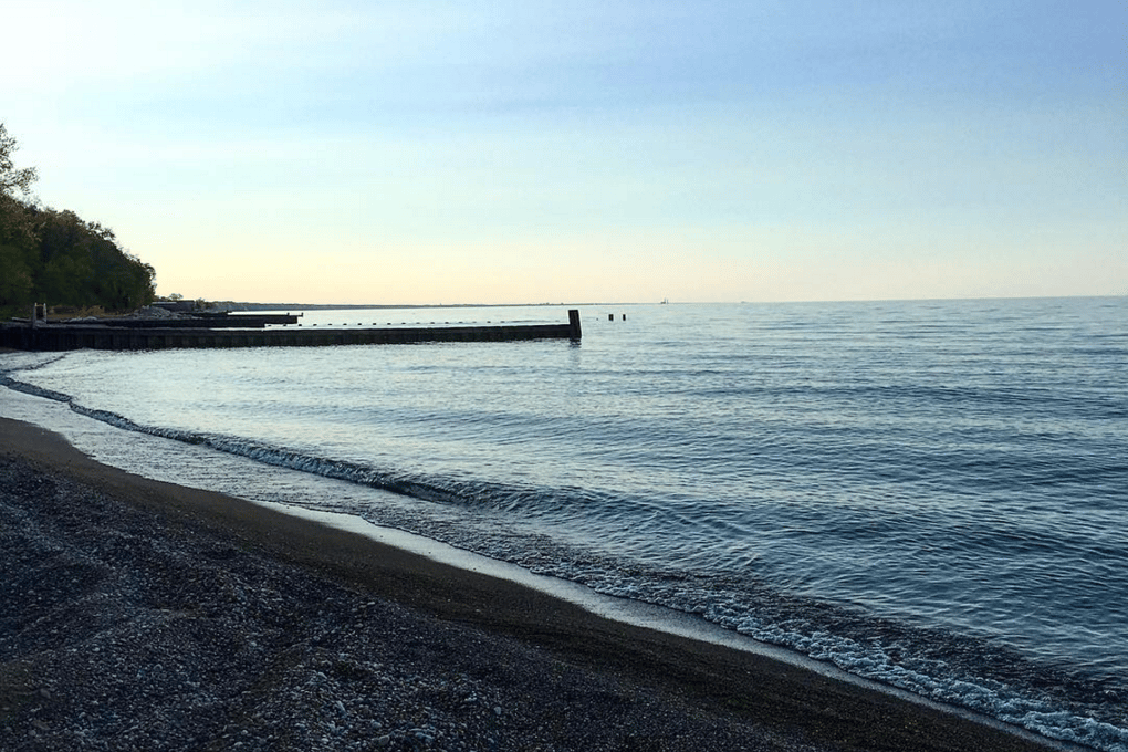 Shore Scape
