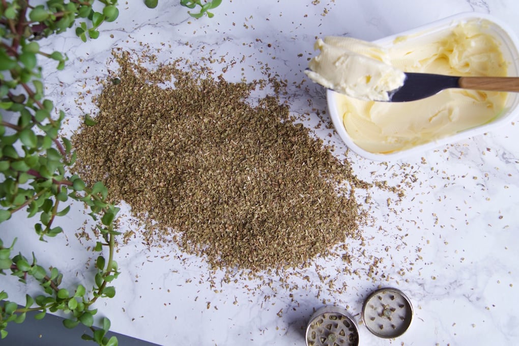 oregano1