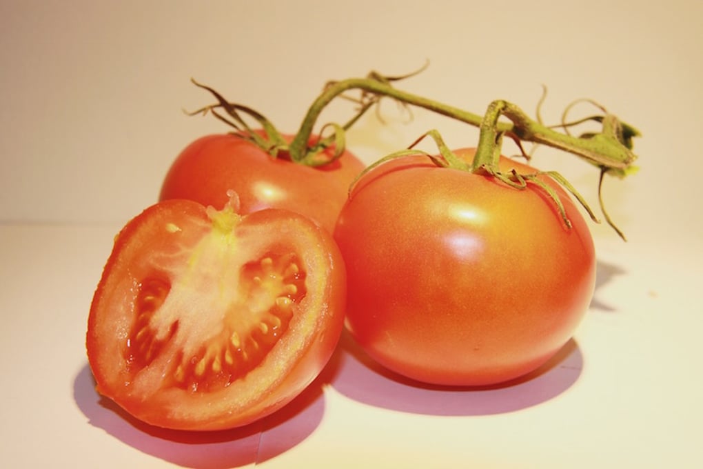 tomato