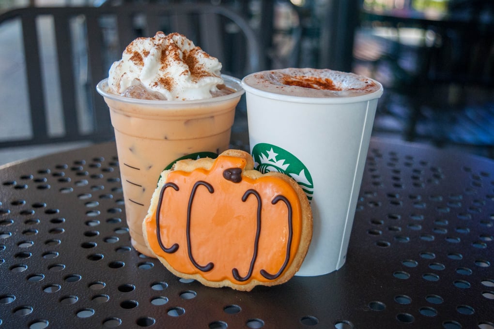Pumpkin 37