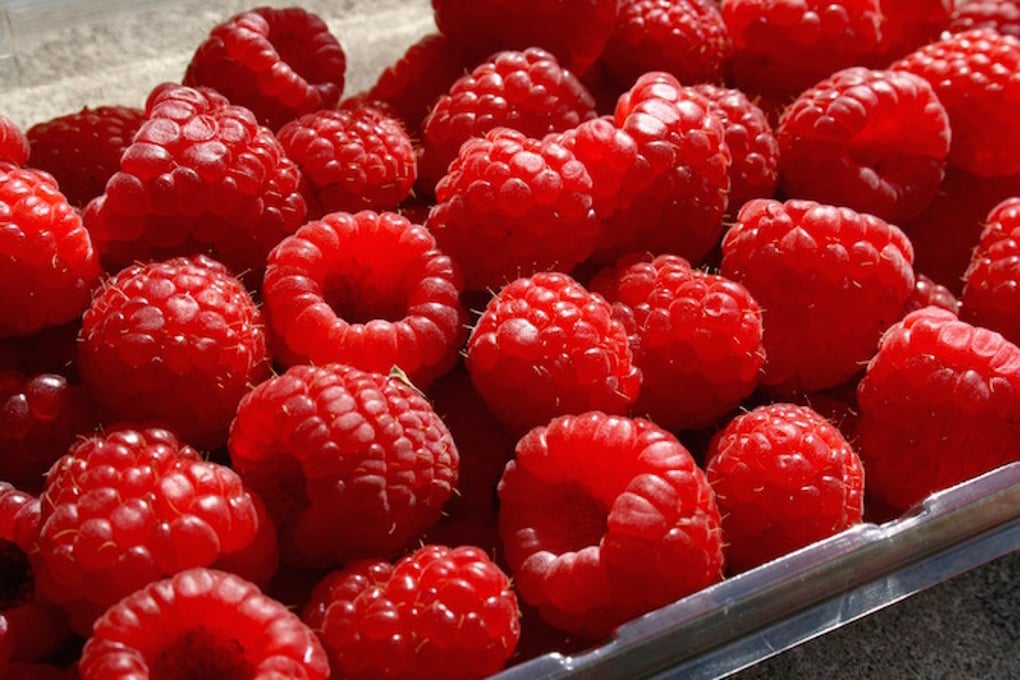 rasberries2