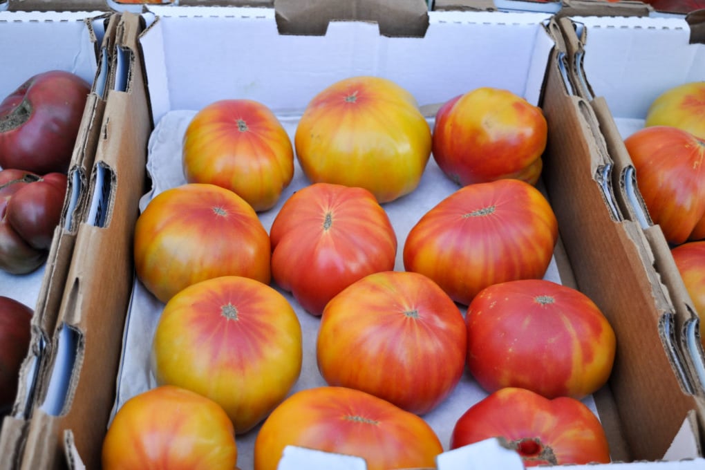 a heirloom toms