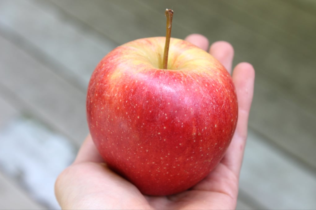 Baker Katherine CarbStory Apple