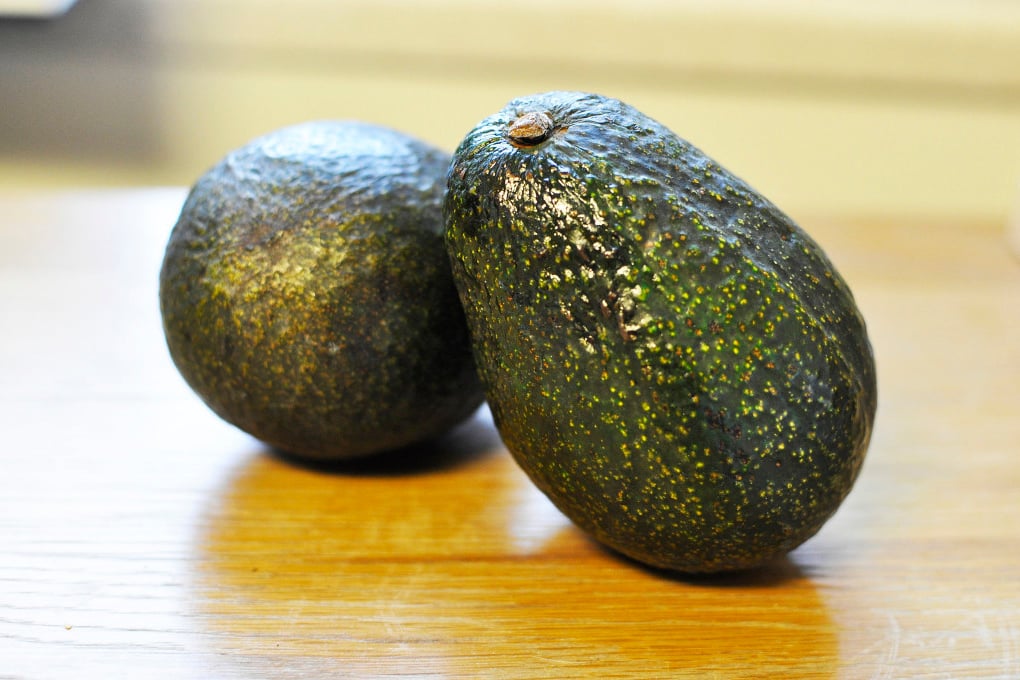 avocado 2
