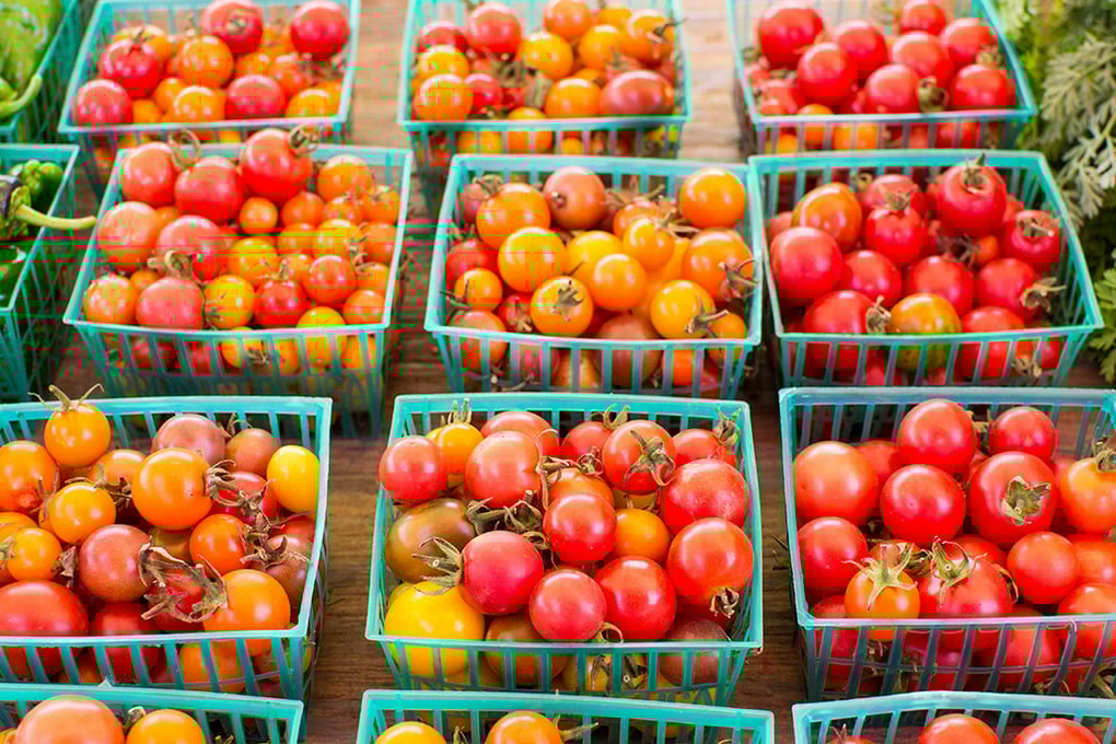 pavolos1