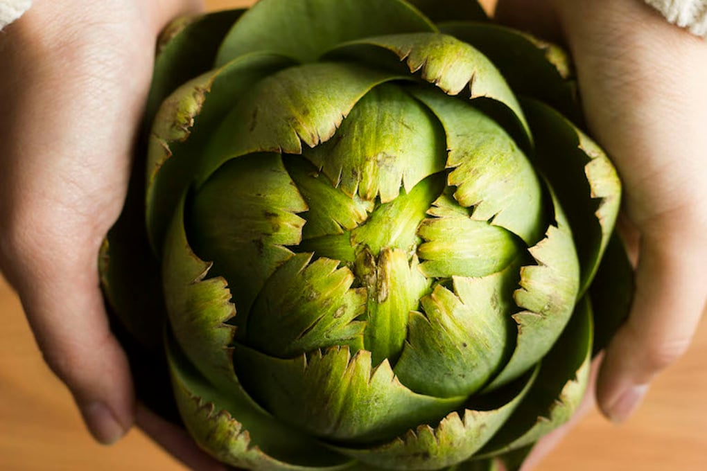 artichoke hands