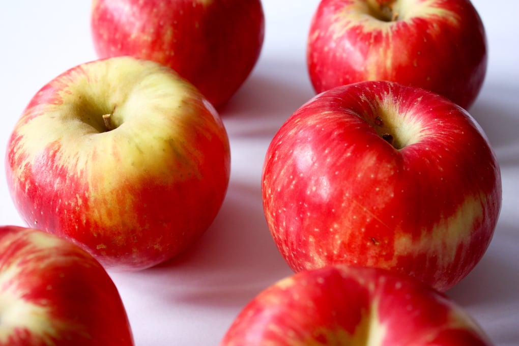 honeycrisps apples 3