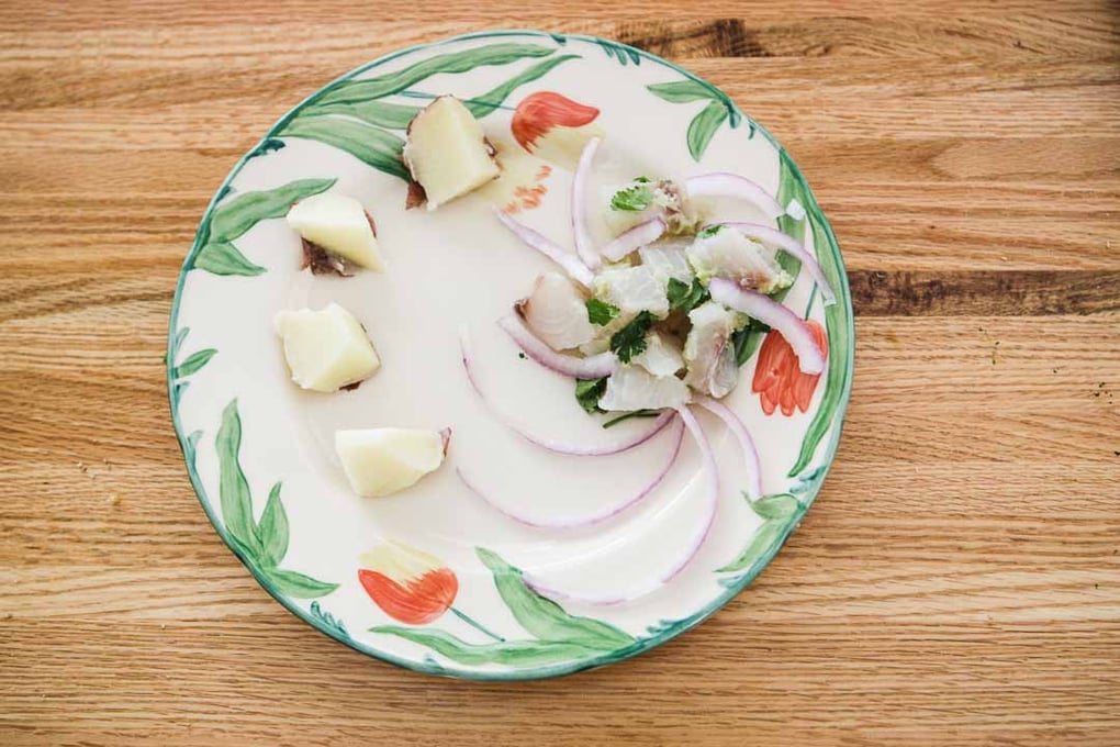 20150620 ceviche 16