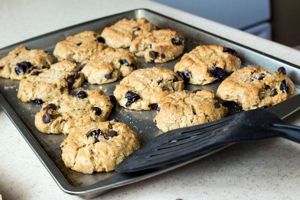 Oatmeal Cookie Fun %282%29