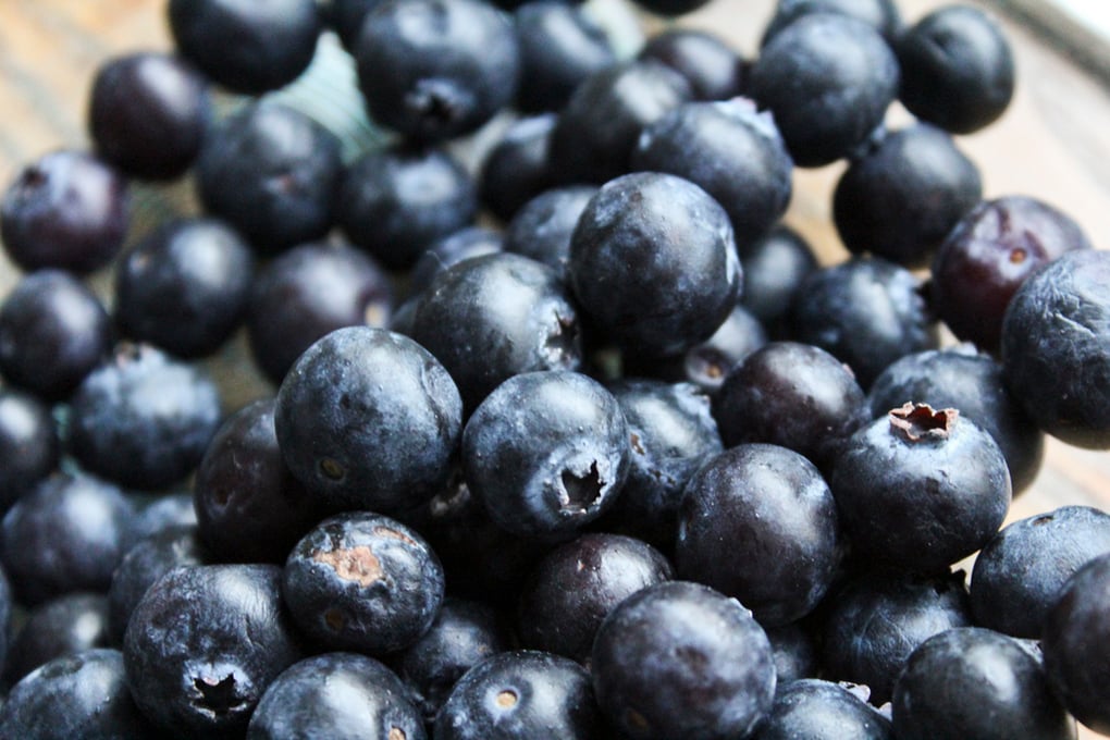 Blueberries Hannah Lin