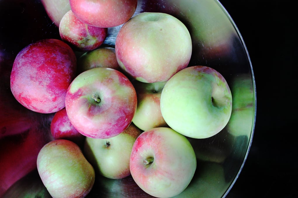 Apples9 EllenGibbs