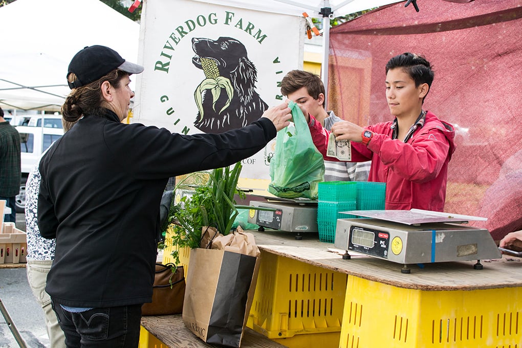 farmers' market purchasing produce