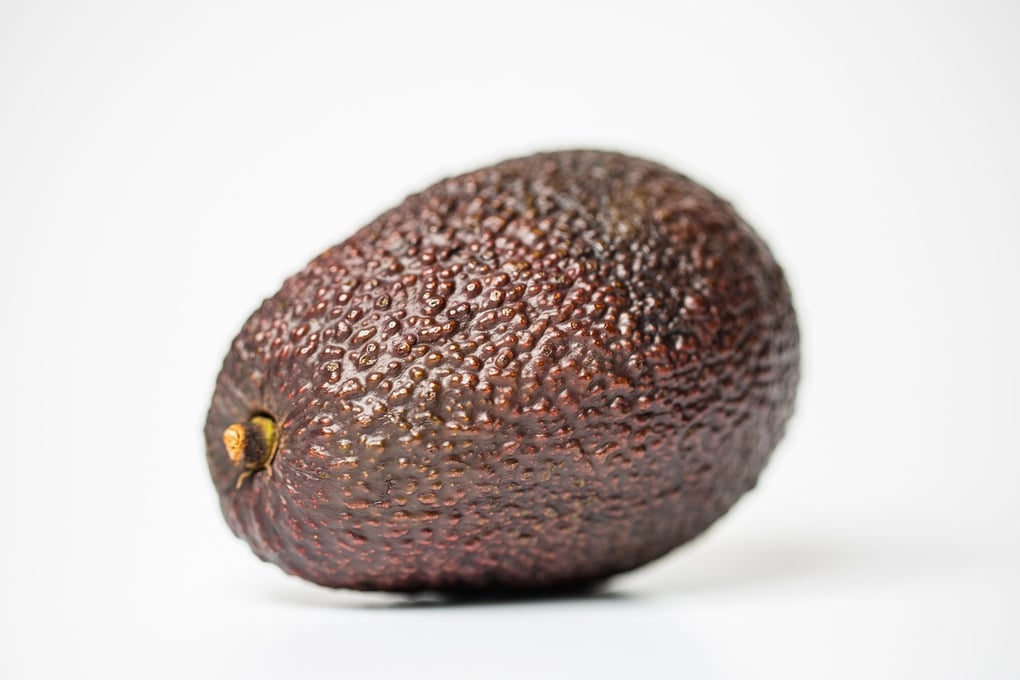 avocado 1171725 1280