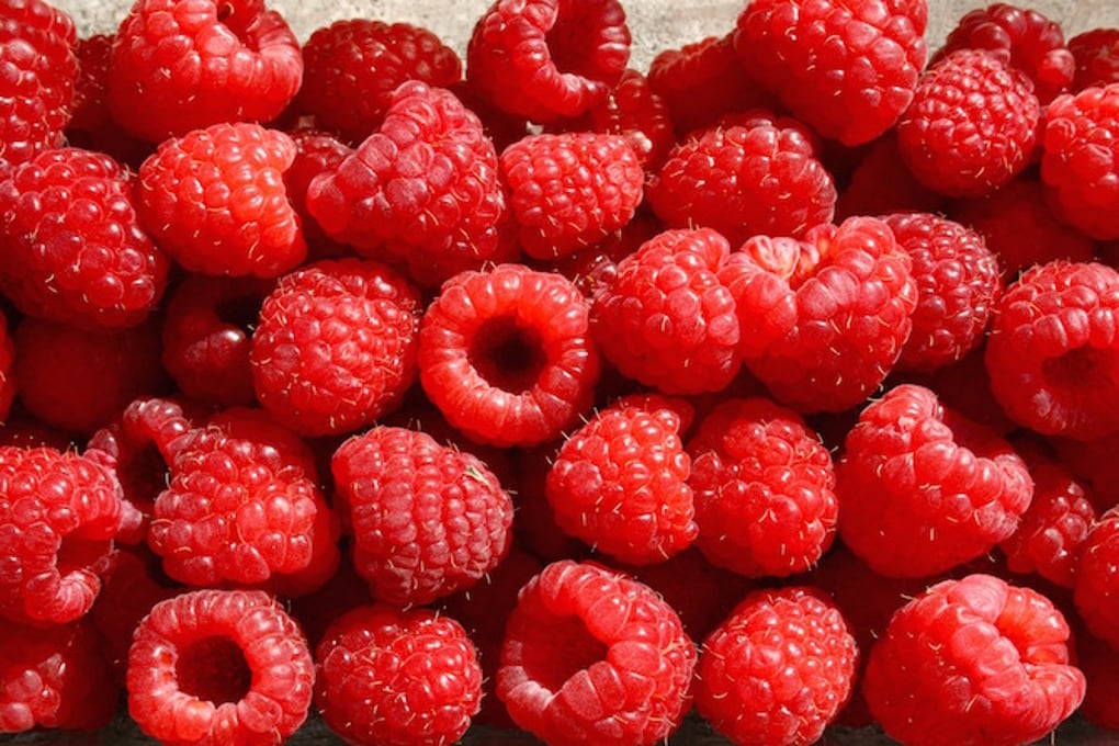 rasberries1