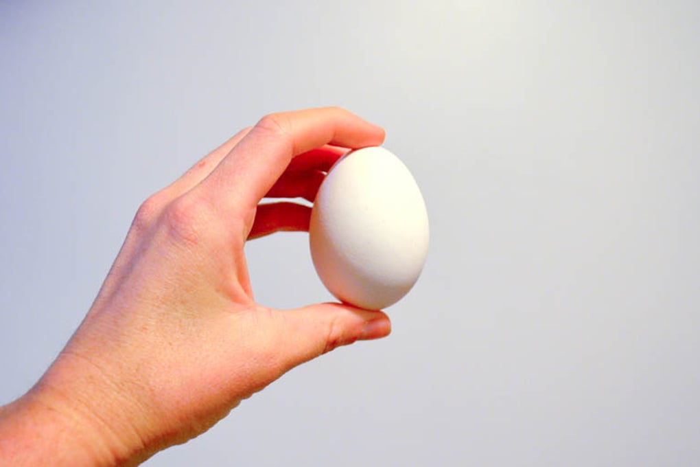 egg 2
