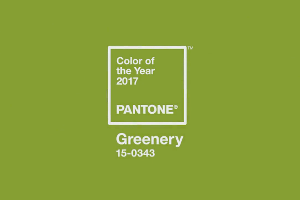 RX Pantone Color 2017 Greenery