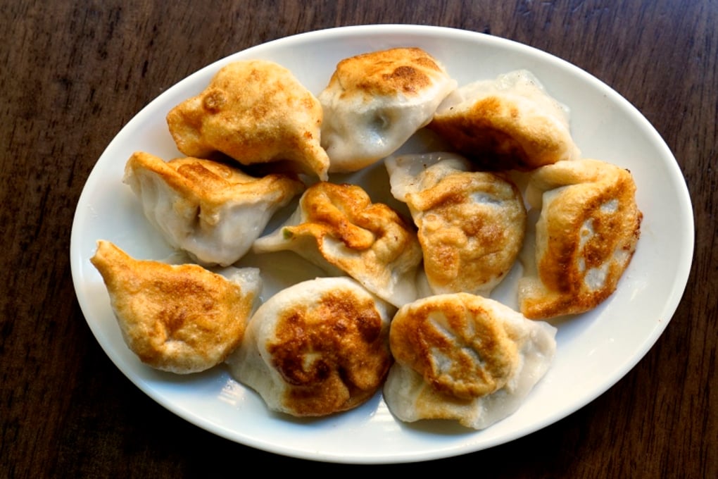 Pan Fried Dumplings Teodora Maftei