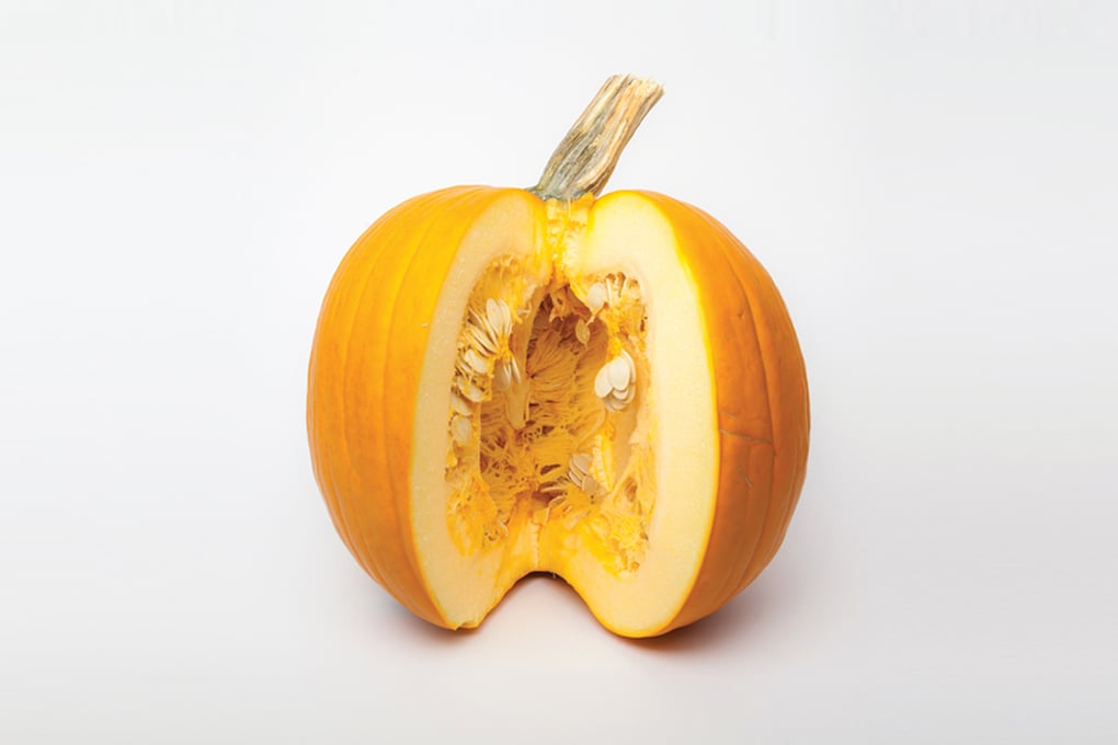 02 pumpkin