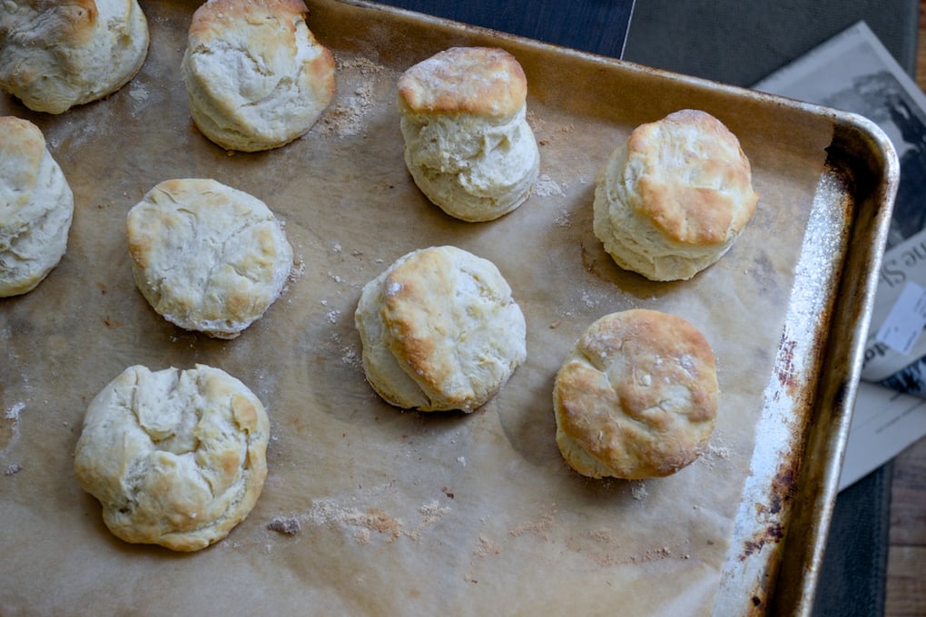 Bacon Biscuits 1