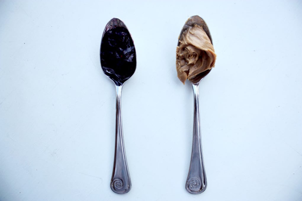 pbj1 e1421264720653