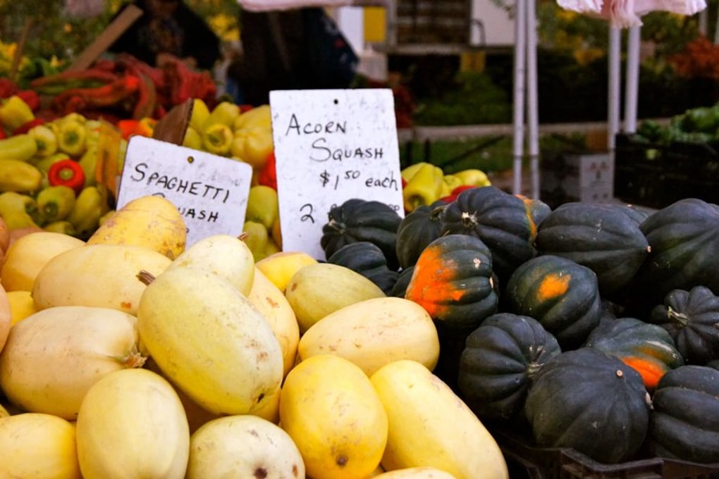 Squash Amanda Gajdosik