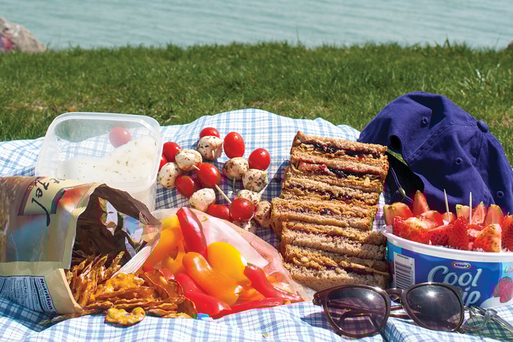 3 picnic1