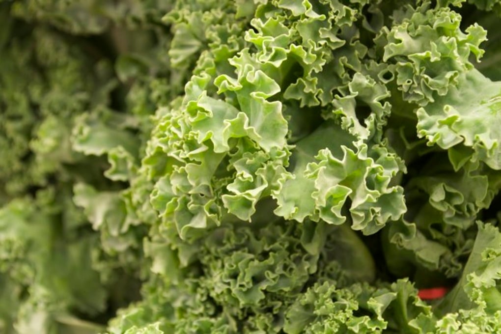 kale e1422247961791