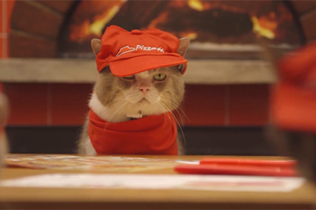 pizza cat 1