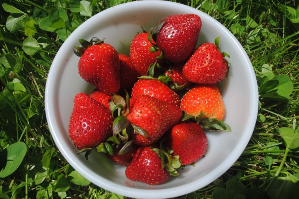 strawberries