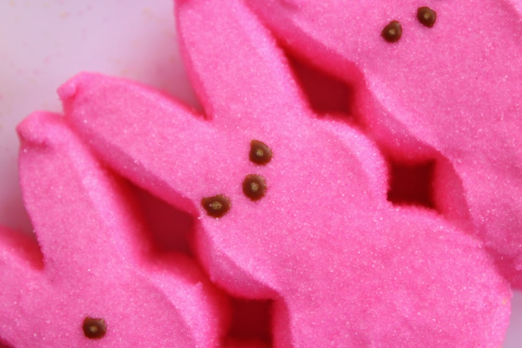 Peeps Katherine Baker 9