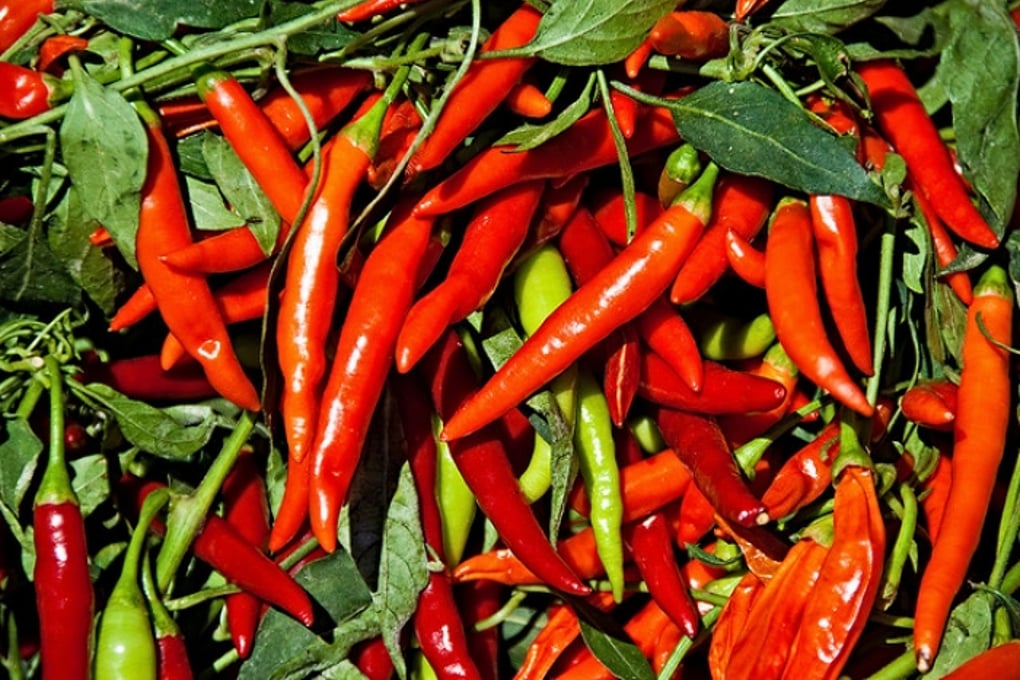 Chilis