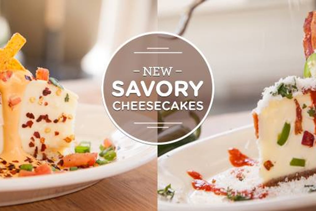 CF savory cheesecake