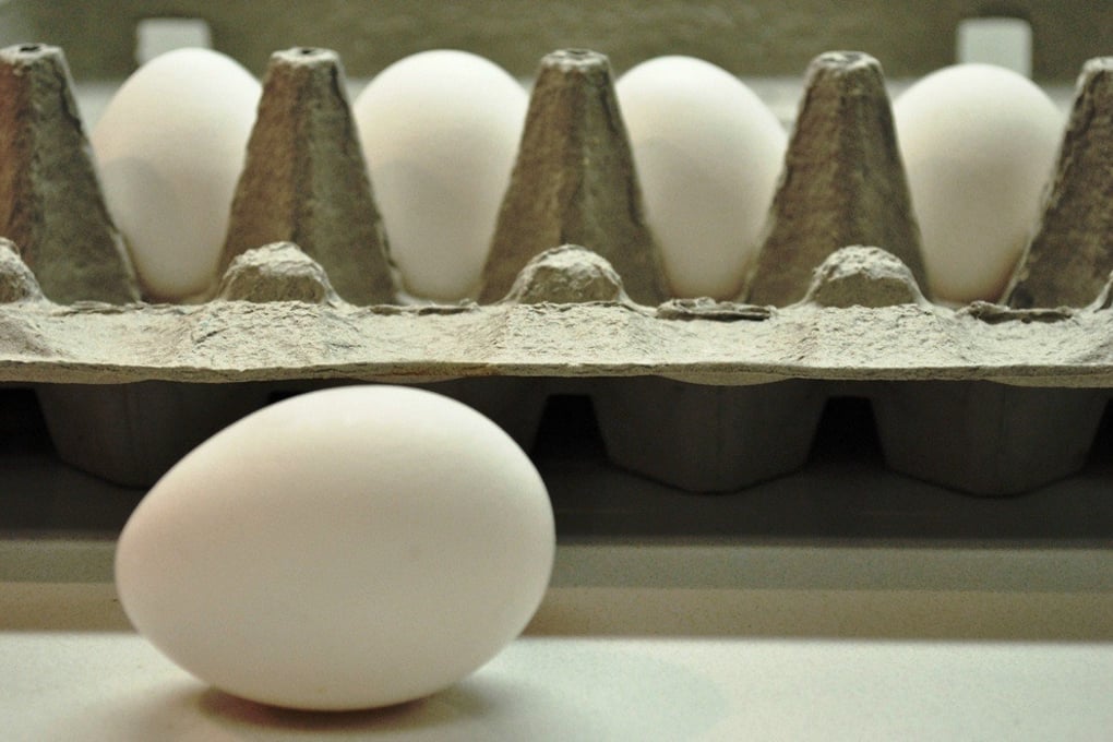 Egg In Front of Carton