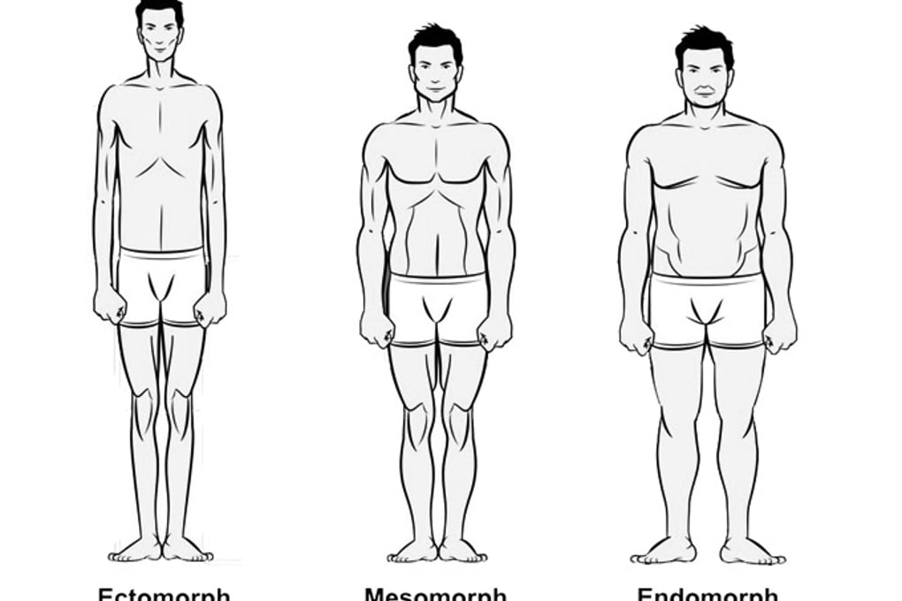 bodytypes