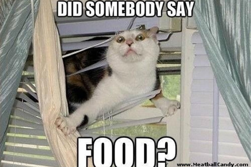 did somebody say