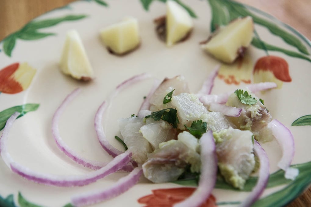 20150620 ceviche 15