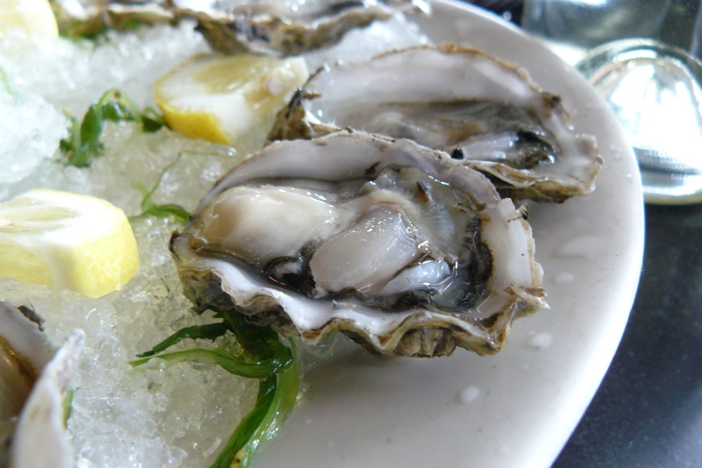 oyster