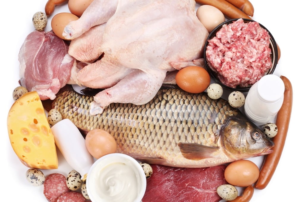 Diets and More High Protein diet