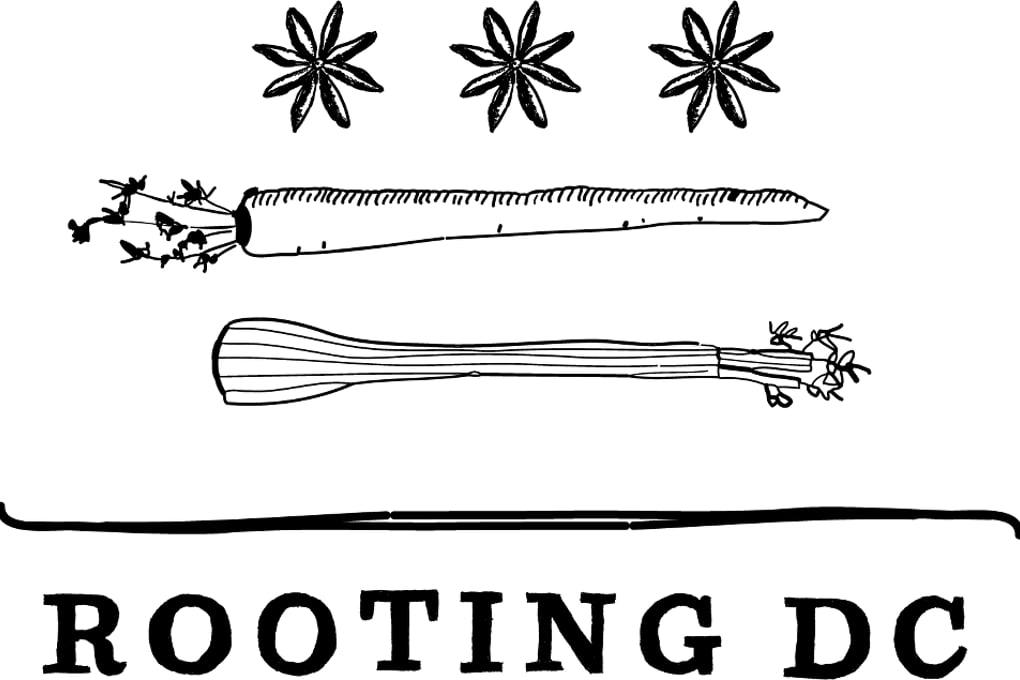 rooting dc