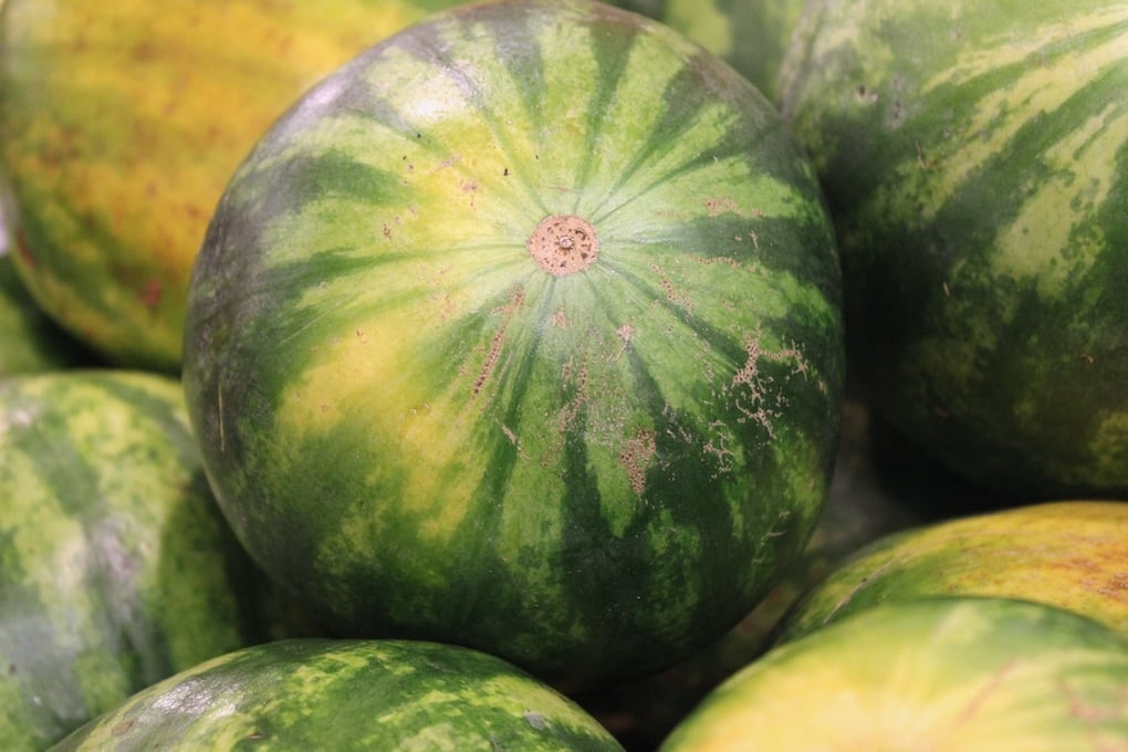 Baker watermelon 1
