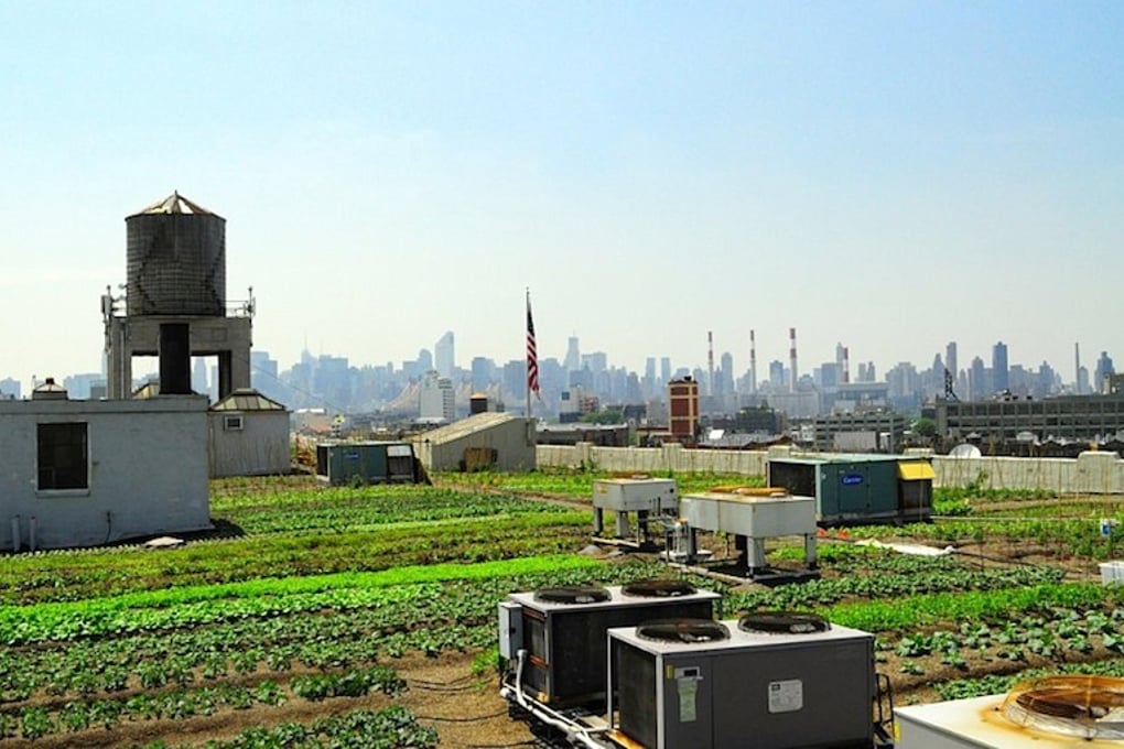 Brooklyn Grange 4