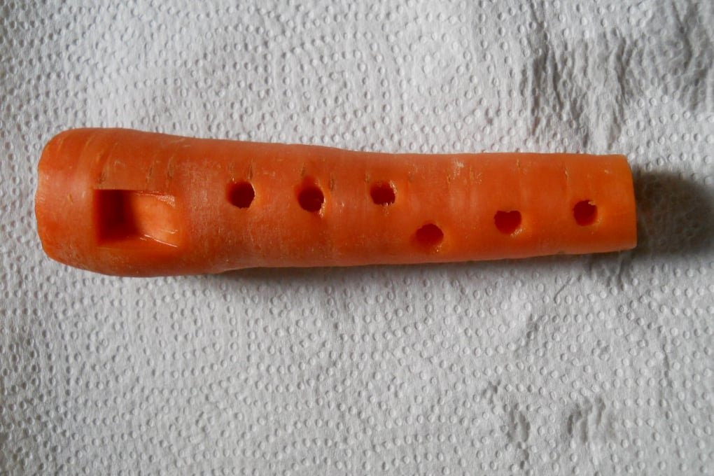 Vegetable recorder