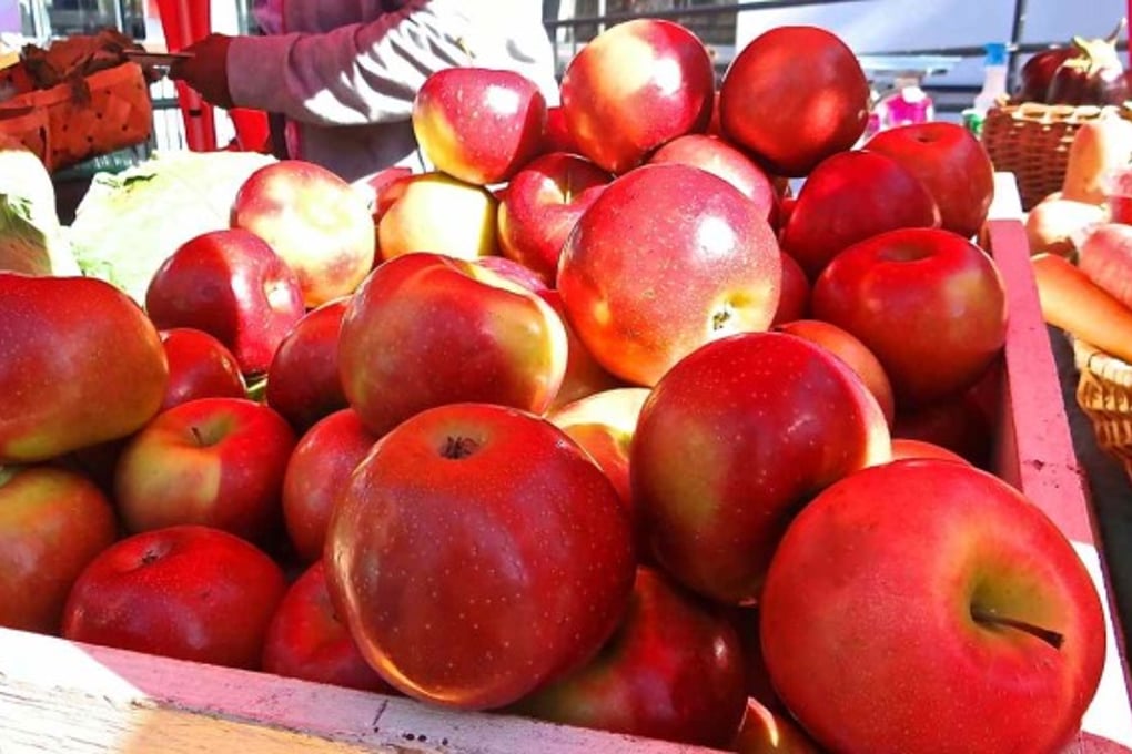 apples e1415805843589