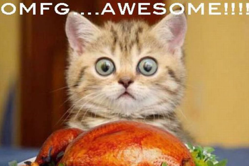Thanksgiving Funny Cat 2 final