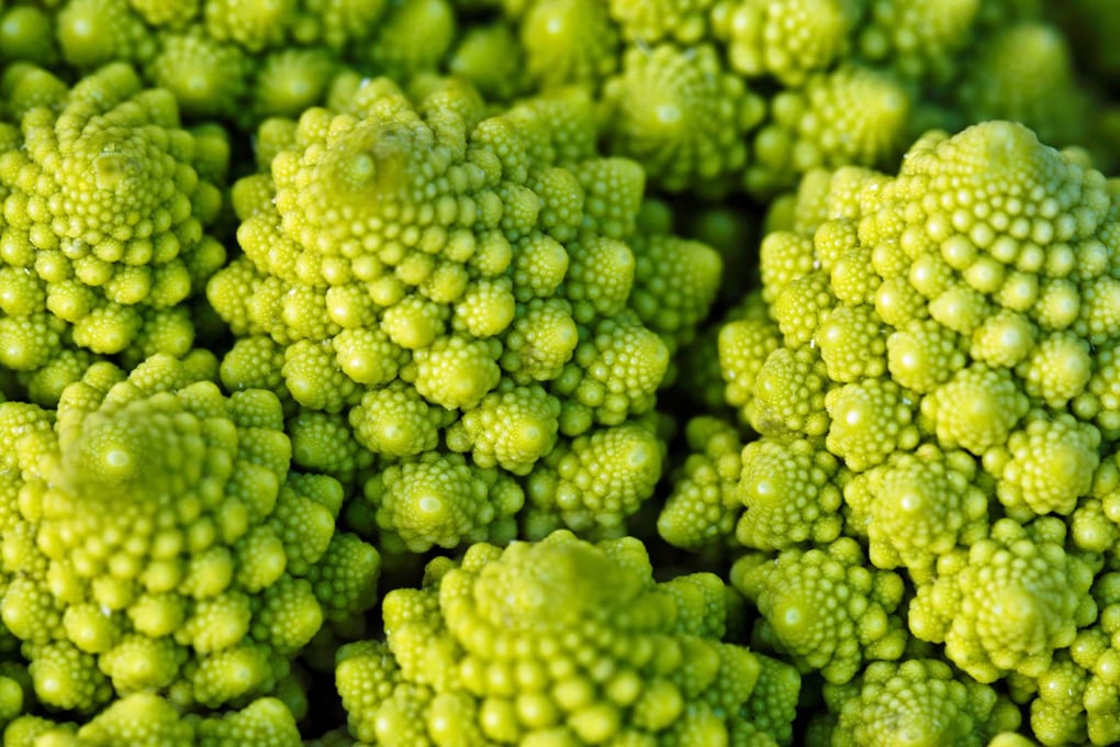 romanesco ftr