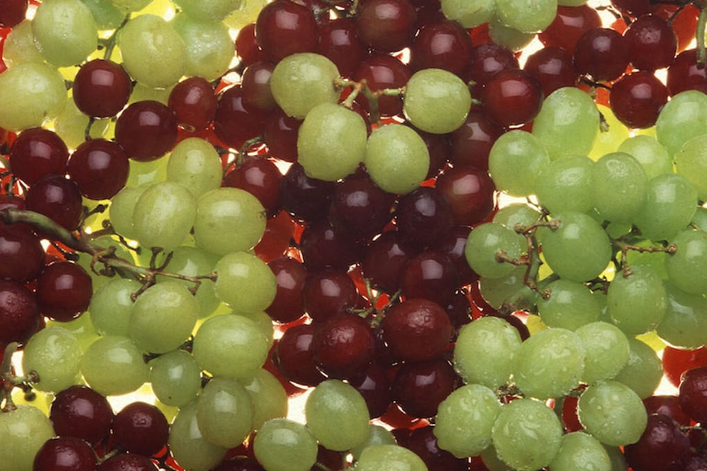 Ripe grapes